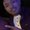 Photo of Keal S.