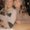 Photo of Samantha K.