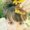 Photo of Myna A.