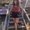 Photo of Jackeline A.