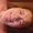 Photo of Catharine M.