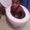 Photo of Josue F.