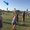 Photo of Madie M.