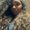 Photo of Sanai R.