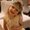 Photo of Sue A.