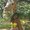 Photo of Kanisha M.