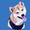 Photo of Cheeriotheshibainu S.