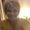 Photo of Nancy E.