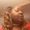 Photo of Angelia J.