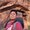 Photo of Khang F.