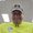 Photo of David B.