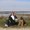 Photo of Cindy M.