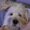 Photo of Missy H.