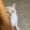 Photo of Brenden T.