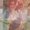 Photo of Safina L.