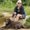 Photo of Teri W.