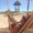 Photo of Susana B.