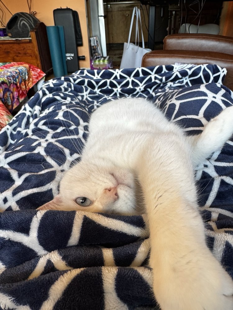 Yelp User Profile Pic