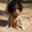 Photo of Dayana C.