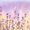 Photo of Cityvox User (maries…)