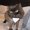 Photo of Mr B.