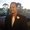 Photo of Alan K.