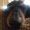 Photo of Jelly F.