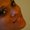 Photo of Sharice O.