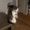 Photo of Candy P.