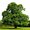 Photo of Qype User (ah210…)
