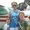 Photo of Christy S.