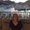 Photo of Trish S.