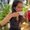 Photo of Meera K.