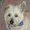 Photo of Suzy S.