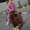Photo of Alaa A.