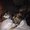 Photo of Brenda B.
