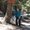 Photo of Ellyn D.