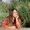 Photo of Giselle C.