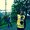 Photo of Florian T.