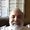 Photo of Rick R.
