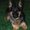 Photo of Sher B.