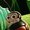 Photo of Burrito M.