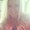 Photo of Chelsey L.
