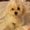 Photo of Suzanna D.