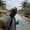 Photo of Aj N.
