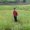 Photo of Vishwa D.