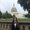 Photo of Shealyn K.