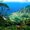 Photo of Qype User (lis905…)