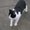 Photo of Flosse M.