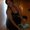 Photo of Julie S.